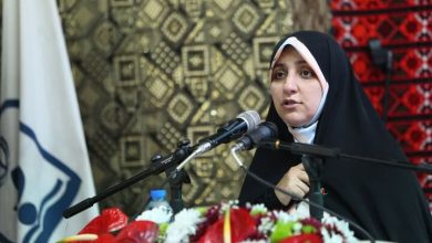 نسل «زد» در زیست‌بوم کارآفرینی و آموزش مورد توجه است