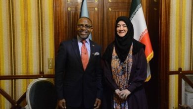 توسعه همکاری‌های مشترک ایران و آفریقای جنوبی در حوزه صنایع‌دستی