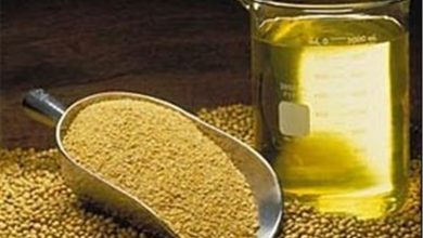 ثبت سفارش جدید دانه‌های روغنی و کنجاله از 12 آبان آغاز می‌شود