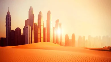 خاورمیانه به الگوی جهانی تحول دیجیتال تبدیل شد