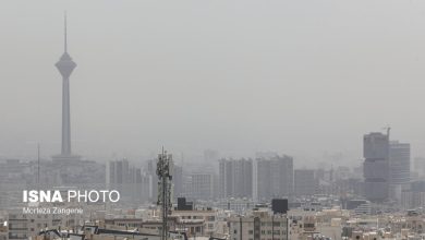 درخواست وزارت بهداشت برای تشکیل جلسه «کارگروه اضطرار آلودگی هوا»/پیشنهاد غیرحضوری شدن مدارس، دانشگاه‌ها و دستگاه‌های دولتی