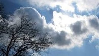 دمای هوای تهران در 3 روز آینده افزایش می‌یابد