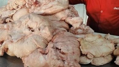 روایتی از آخرین حافظان «سنت روغن‌گیری»