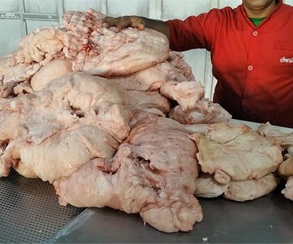 روایتی از آخرین حافظان «سنت روغن‌گیری»