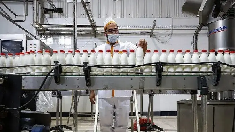 شیر خام ۳۵ هزار تومان شد؛ ریشه گرانی لبنیات کجاست؟