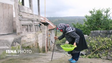 شیوع بالای «سالمند آزاری»/ هشدار؛ سوءبرداشت‌ها از «لوس شدن سالمندان»
