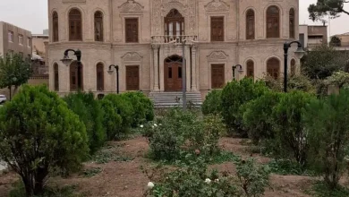 قطع درختان در موزه آبگینه (4)