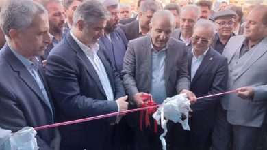 نمایشگاه چهارمین جشنواره ملی انار ساوه آغاز بکار کرد