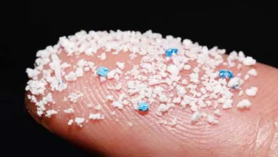 هشدار یک استاد دانشگاه درباره ریزپلاستیک‌ها؛ این یک تهدید جدی برای سلامت انسان هاست