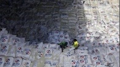 واردات 800 هزار تن برنج از ابتدای سال/ تاخیر 10 ماهه در تخصیص ارز؟