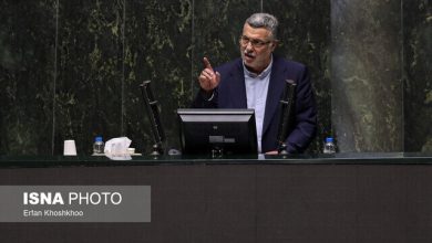 وزیر بهداشت: با تمام ظرفیت به دنبال اجرای پزشک خانواده و نظام ارجاع هستیم