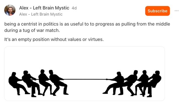 هلن پلاک رز