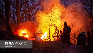 چرا یونسکو در مهار آتش هیرکانی به ایران کمک نکرد؟
