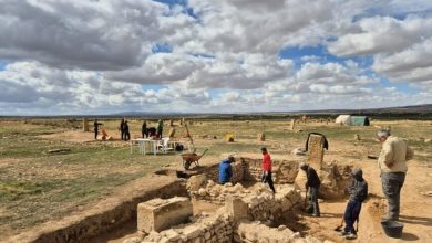 کشف کارخانه باستانی روغن زیتون