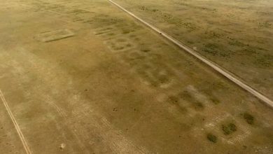 کشف یک شهر ۳۶۰۰ساله - ایسنا