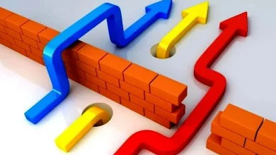 آزادسازی قیمت بدون آزادسازی اقتصاد یعنی پا گذاشتن روی پوست خربزه
