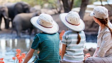 آفریقا پیشتاز شد؛ اروپا به صدر آمد