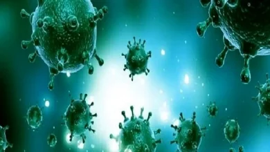 اولین قربانی ناشی از آنفلوآنزای H3N2 در هرمزگان؛ هشدار برای سلامت عمومی