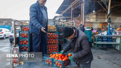 ایسنا - بازار شب یلدا