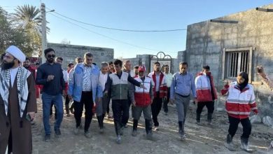 بازدید رئیس سازمان مدیریت بحران کشور از استان‌های سیل‌زده جنوب کشور