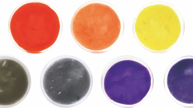 باکتری‌ها هم نساج شدند و هم رنگرز!