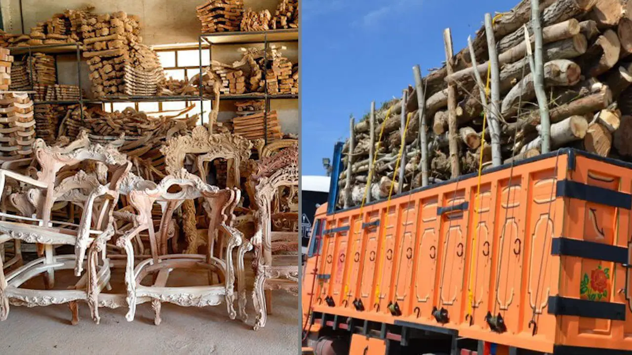 بحران خاموش در صنعت مبلمان / زنگ خطر برای جنگل‌ های ایران!