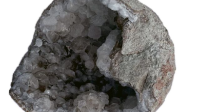 تخم دایناسور ۷۰ میلیون ساله جای بچه‌دایناسور، پر از بلور بود!