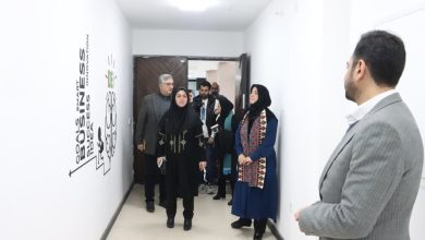 تکمیل زنجیره ارزش صنایع‌دستی و لزوم رویکرد نوآورانه به بسته‌بندی