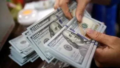 همه چیز درباره ارز مسافرتی/ توضیحات کامل مرکز مبادله ایران