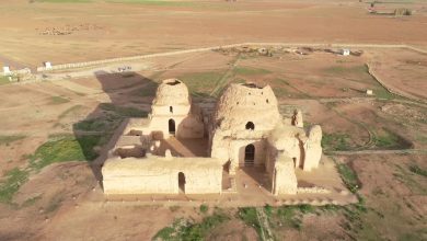 دور جدید اقدامات حفاظتی و ساماندهی میراث ساسانی فارس با ۱۰ پروژه