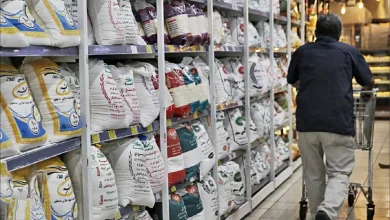 دولت دخالتی در قیمت برنج وارداتی ندارد/ قیمت برنج چه می‌شود؟