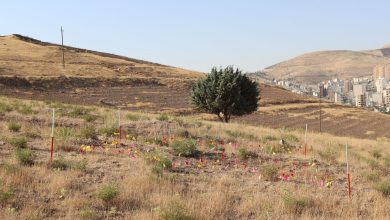 سرنوشت محوطه باستانی یک میلیون ساله کرمانشاه چه می‌شود؟