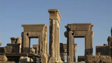 شرایط بحرانی کاخ هدیش تخت جمشید/ گلسنگ کمترین آسیب را به آثار باستانی می‌رسانند