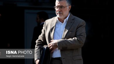 ظفرقندی: سهم ارز دارویی افزایش می‌یابد