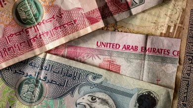 قیمت درهم امارات امروز سه شنبه 2دی/ درهم افزایشی شد + جدول کامل