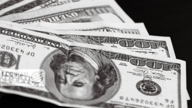 قیمت دلار امروز دوشنبه 8دی/ ریزش قیمت دلار + جدول و جزئیات