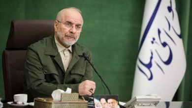 لایحه حمایت از زنان نباید بیش از این معطل بماند