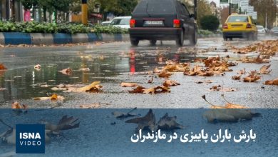 ویدیو/ بارش باران پاییزی در مازندران