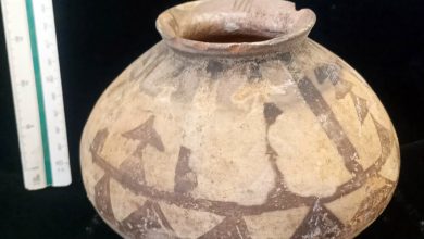 کشف ۱۲ قطعه شی تاریخی در شهرستان جیرفت