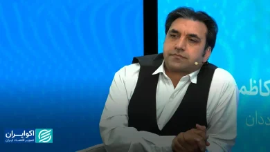 اغتشاشگر کسی است که تورم ایجاد می‌کند