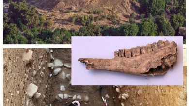 تقویت پرونده ثبت جهانی با یافته‌های پیش‌ از تاریخ در قلعه فلک‌الافلاک