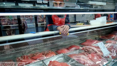 قیمت گوشت وارداتی اعلام شد؛ وضعیت بازار مرغ و گوشت