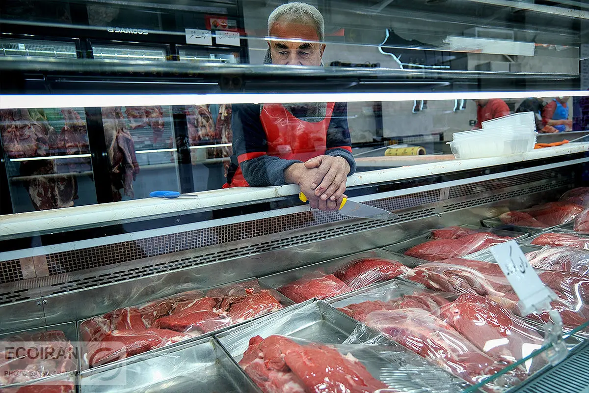 قیمت گوشت وارداتی اعلام شد؛ وضعیت بازار مرغ و گوشت