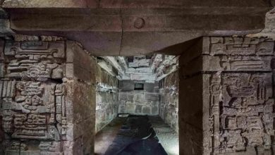 مهم‌ترین کشف دهه در آمریکا + عکس