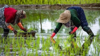 «نجات آب» ــ 53