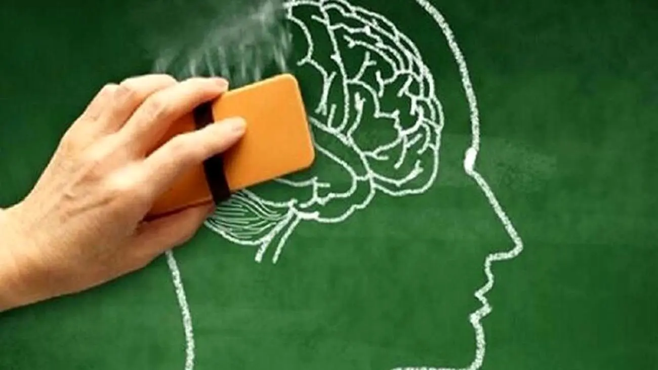 این خوردنی ها حافظه تان را قوی می کند !