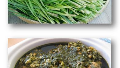 خورش تره کوهی؛ غذای محلی و بهاری مردم ایلام