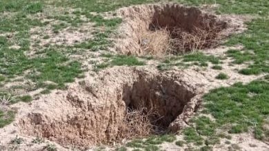 زنگ خطر فرونشست در قلب تاریخ ایران/ نقش رستم پایلوت مدیریت فرونشست شود