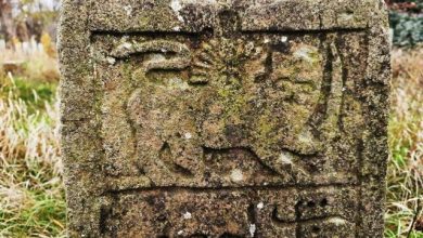 «شیر و خورشید» چگونه از ایران فراتر رفت؟