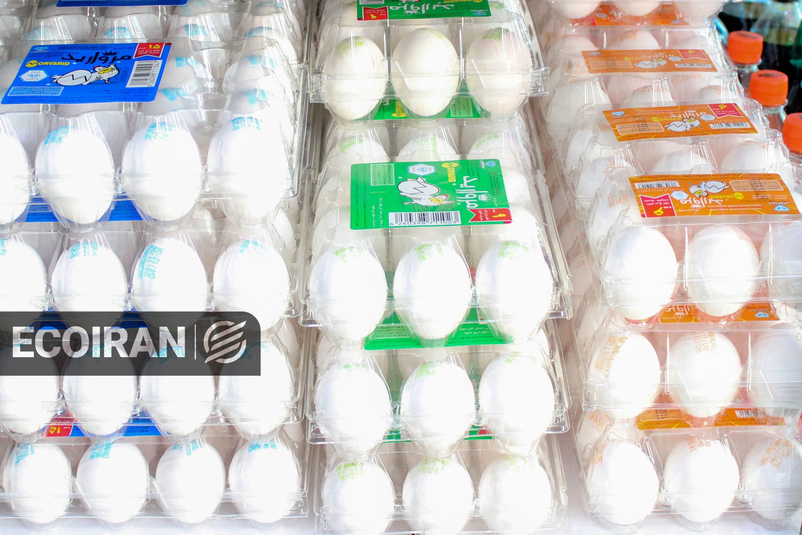 قیمت تخم‌مرغ در ماه رمضان + لیست قیمت